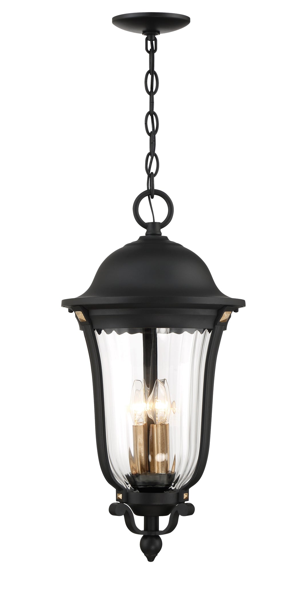 Peale Stree Exterior Pendant - by Minka