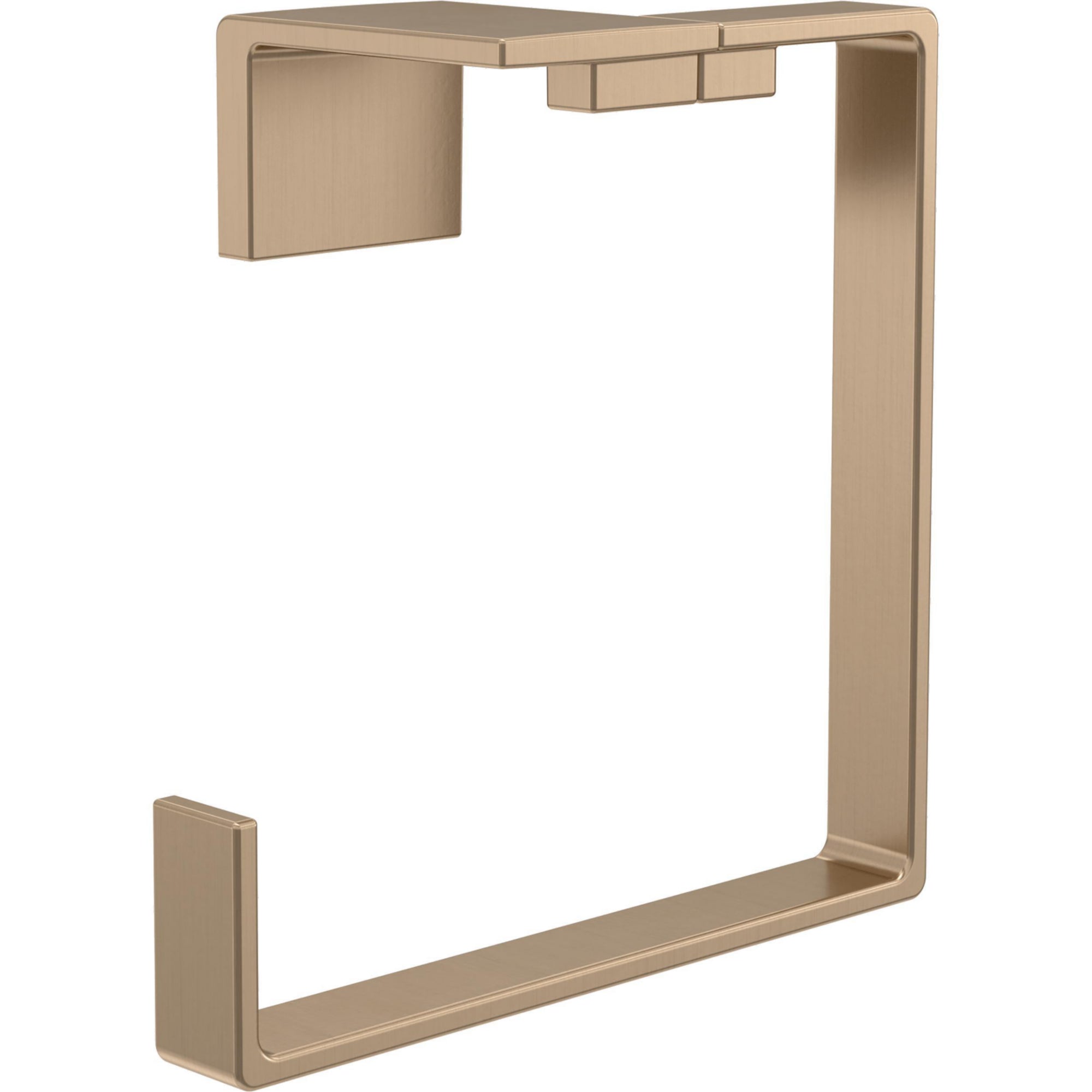 TOWEL RING