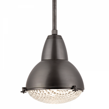 Load image into Gallery viewer, 1 LIGHT PENDANT
