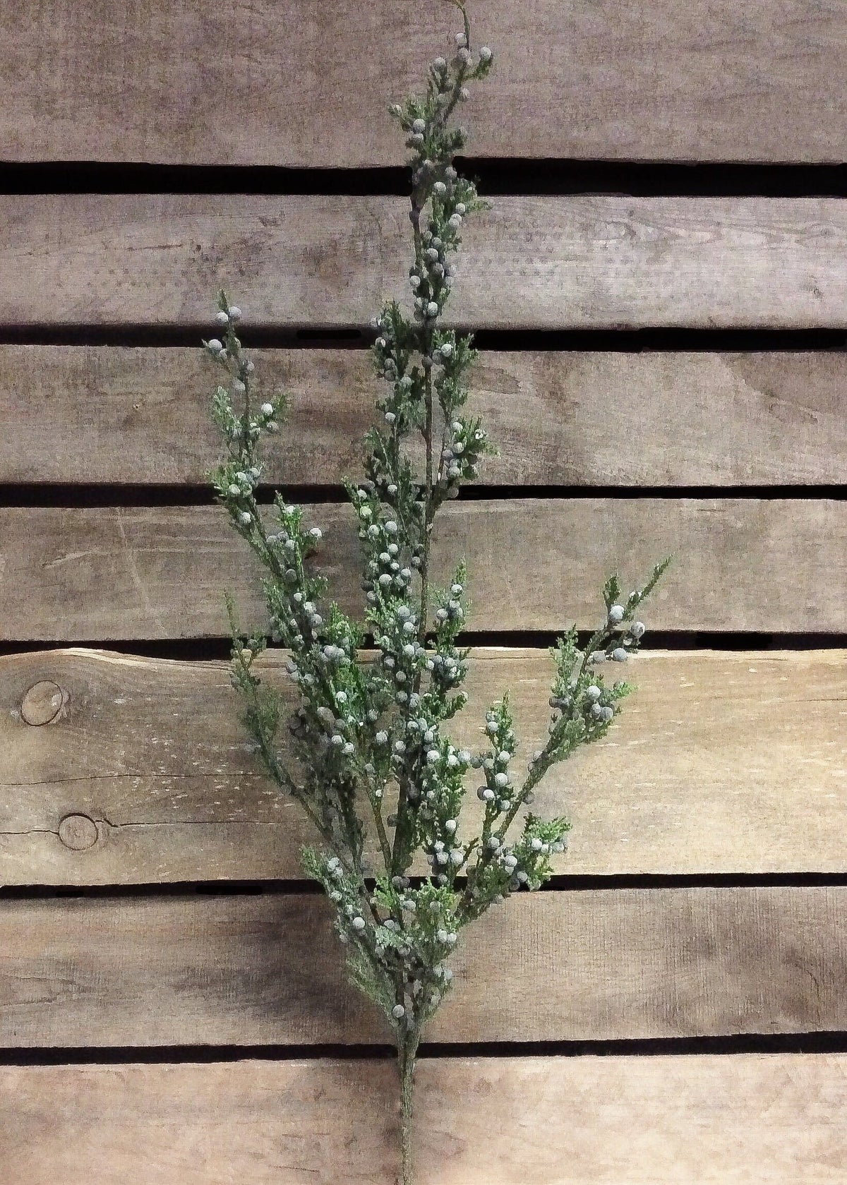 32" Flocked Juniper & Berries Spray