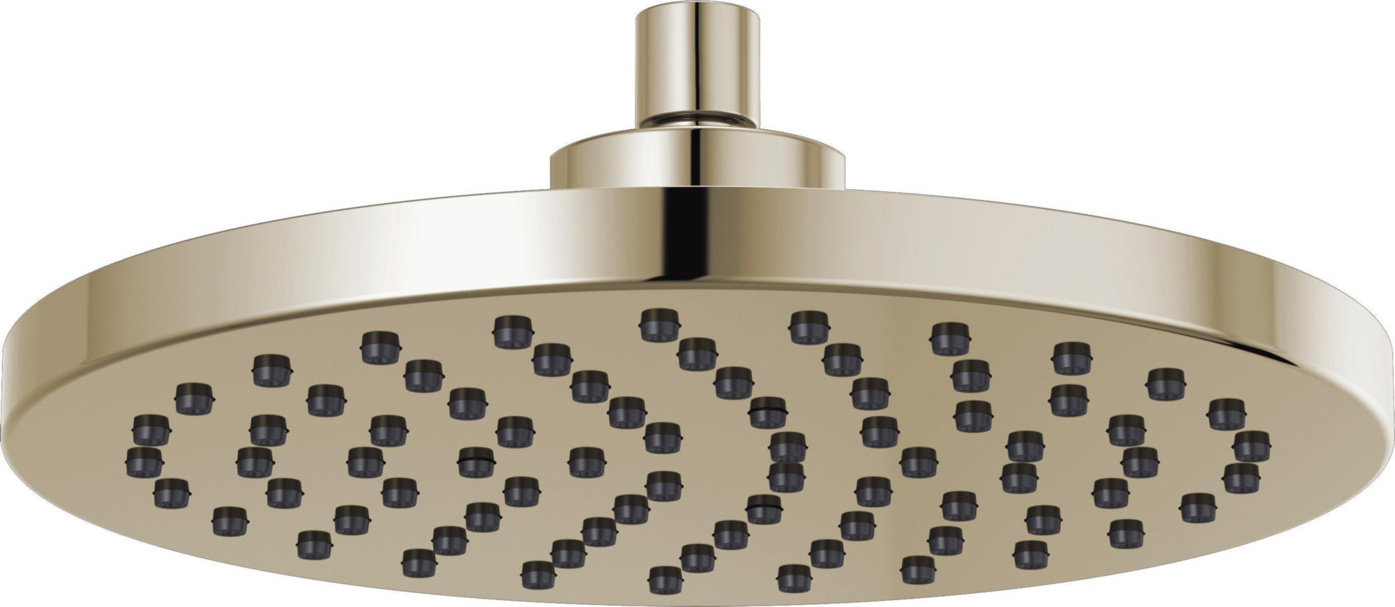 RAINCAN SHOWERHEAD