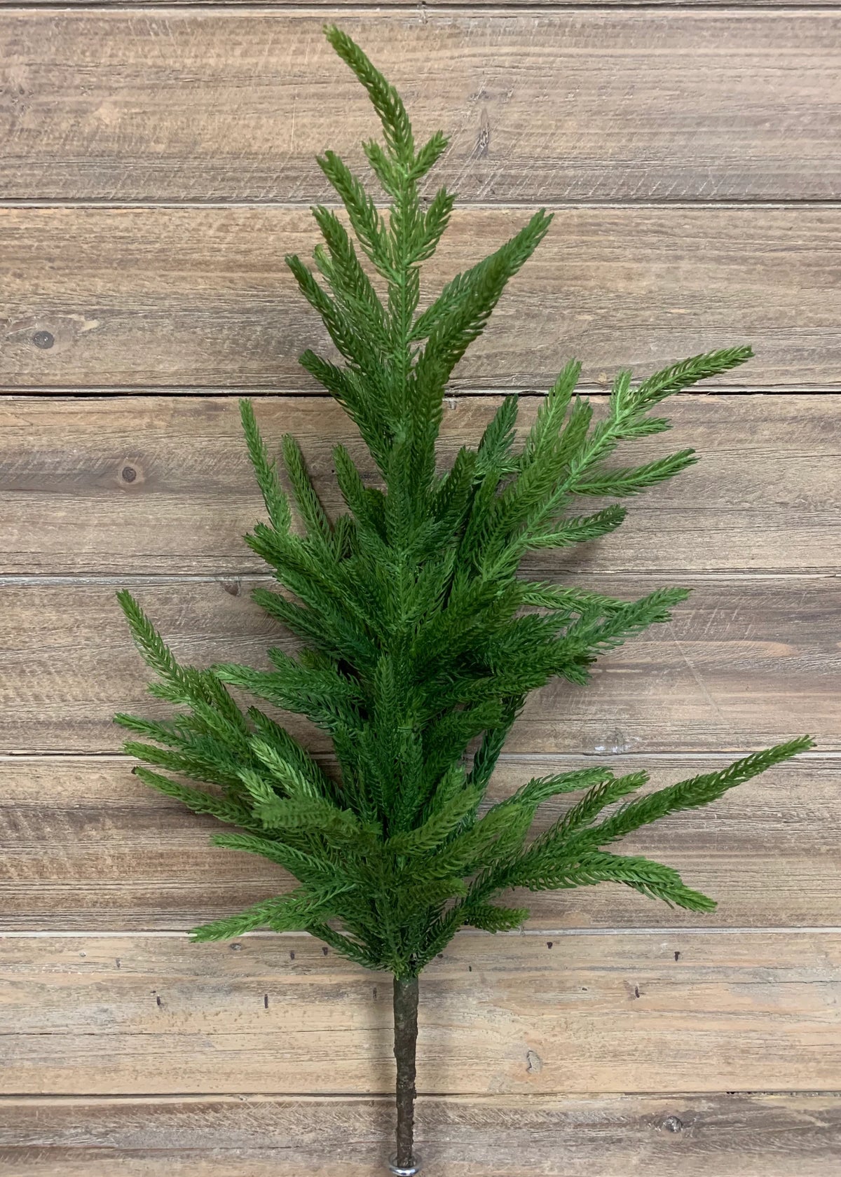 29" Fresh Touch Norfolk Pine Branch