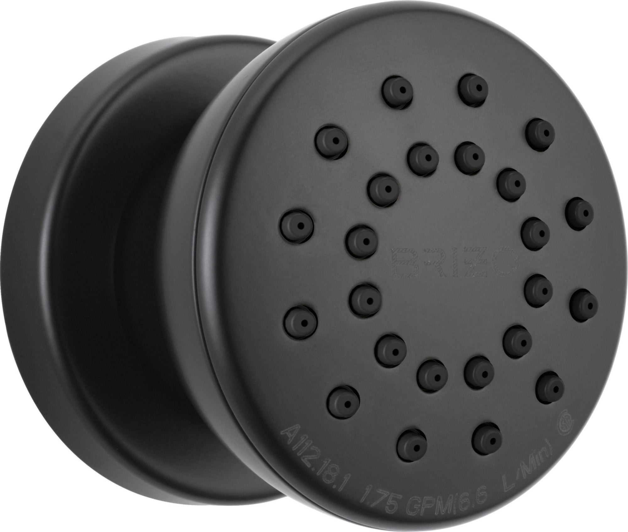 BRIZO: TOUCH-CLEAN BODY SPRAY TRIM AND ROUGH