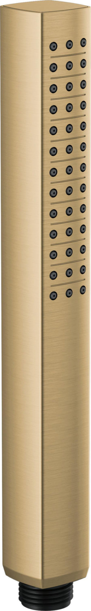 SINGLE FUNCTION HANDSHOWER RP