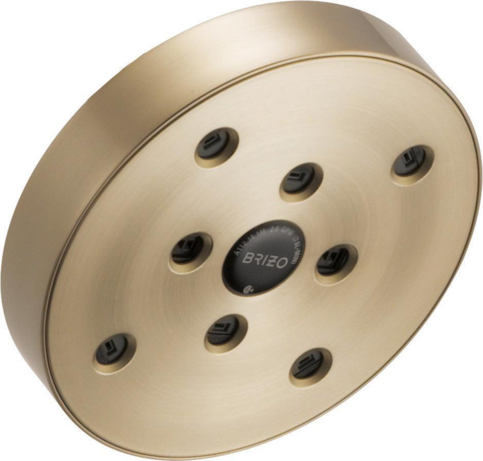 H2OKINETIC(TM) RAINCAN SHOWER HEAD