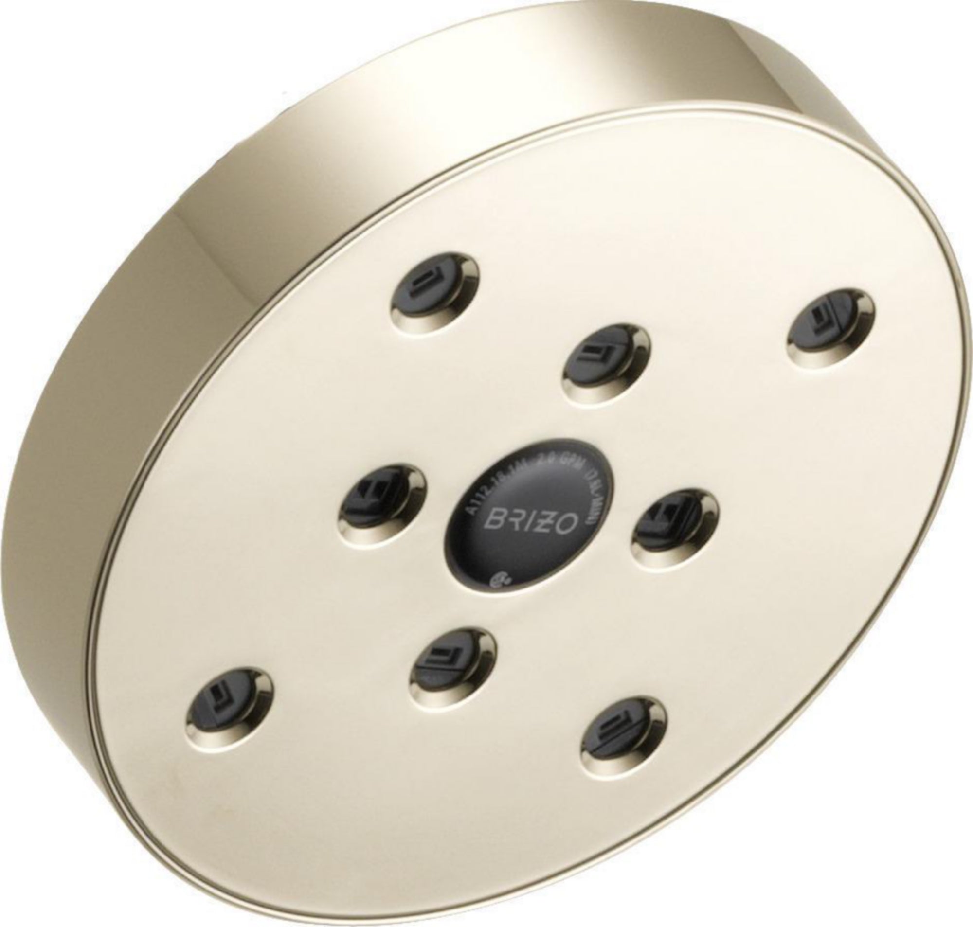 H2OKINETIC(TM) RAINCAN SHOWER HEAD