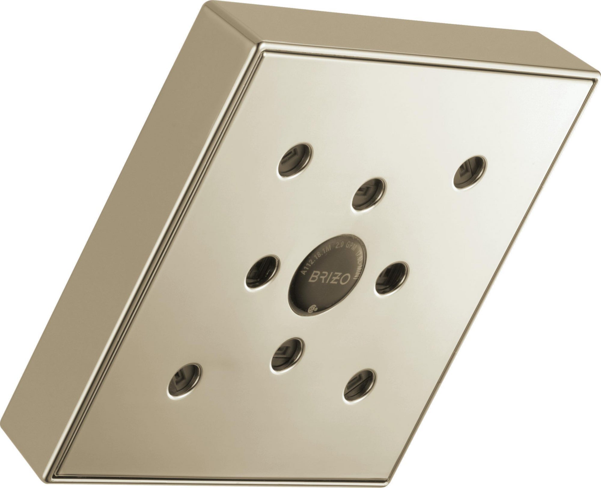 RAINCAN SHOWERHEAD WITH H2OKINETIC TECHNOLOGY