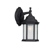 Load image into Gallery viewer, 1 Light Outdoor Wall Lantern
