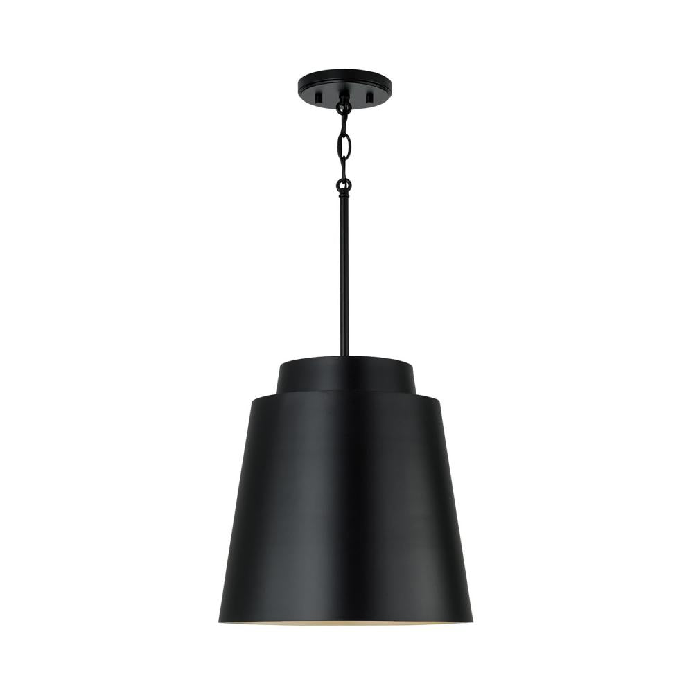1 Light Pendant