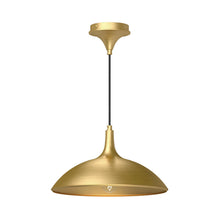 Load image into Gallery viewer, Pendants-Alora Lighting-PD627914
