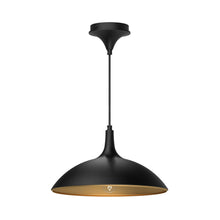 Load image into Gallery viewer, Pendants-Alora Lighting-PD627914
