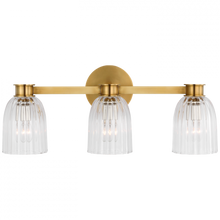 Load image into Gallery viewer, Asalea Triple Vanity Light

