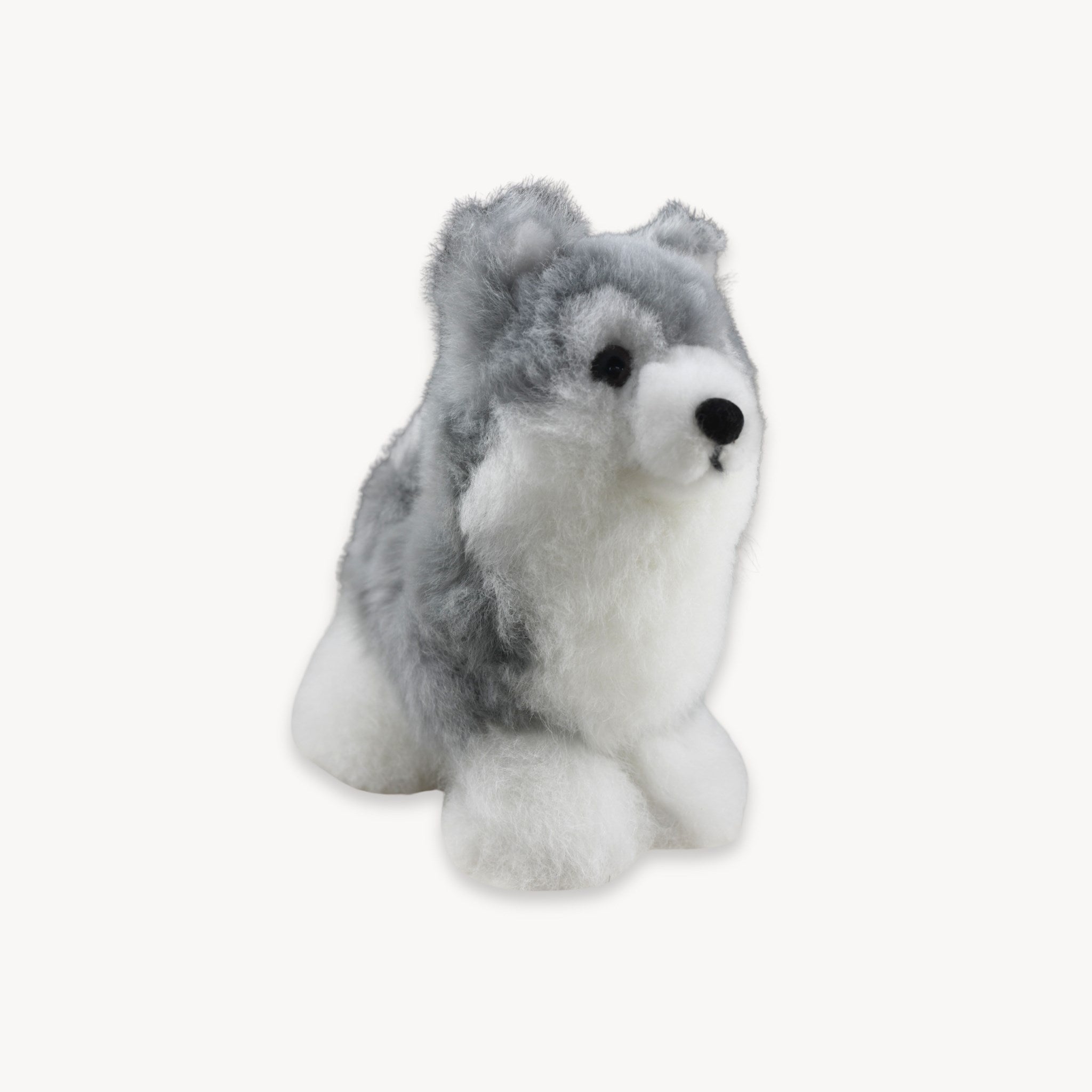 Standing Husky Wolf