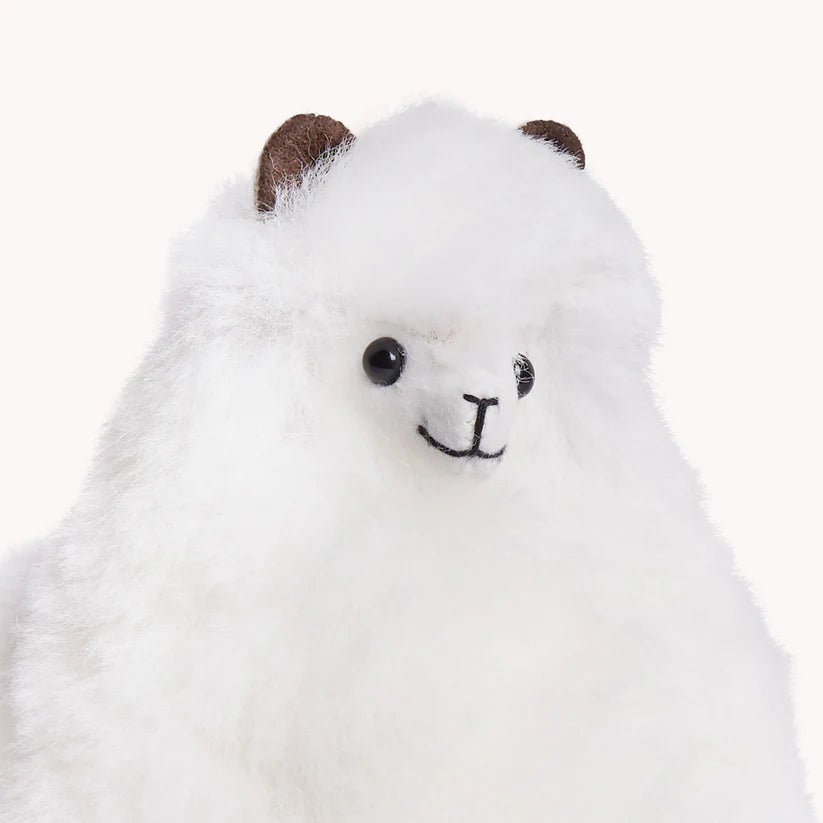 Alpaca Fur Standing Alpaca