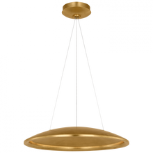 Load image into Gallery viewer, Arial 20&quot; Chandelier
