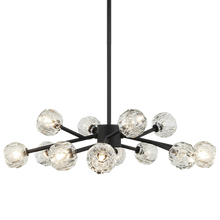 Load image into Gallery viewer, Rosa 36.5&quot; 12 Light Chandelier (3 Finishes)
