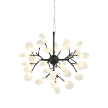Load image into Gallery viewer, Chandeliers-Matteo Lighting-C69824
