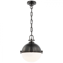 Load image into Gallery viewer, Adrian Large Globe Pendant
