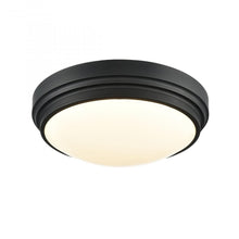 Load image into Gallery viewer, ALGOMA 13&quot; LED FLUSH MOUNT
