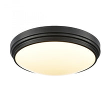 Load image into Gallery viewer, ALGOMA 17&quot; LED FLUSH MOUNT
