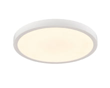 Load image into Gallery viewer, Typhoon 9" Flush Mount
