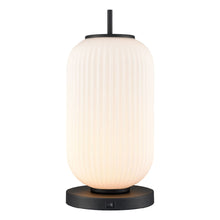 Load image into Gallery viewer, Mount Pearl Lamps-DVP40019 - by DVI
