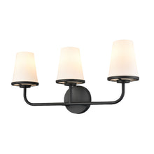 Load image into Gallery viewer, Bathroom Fixtures-DVI-DVP48043

