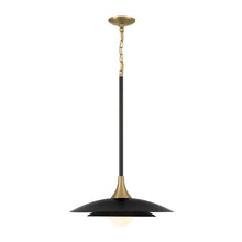 Load image into Gallery viewer, Pendants-Eurofase-46441
