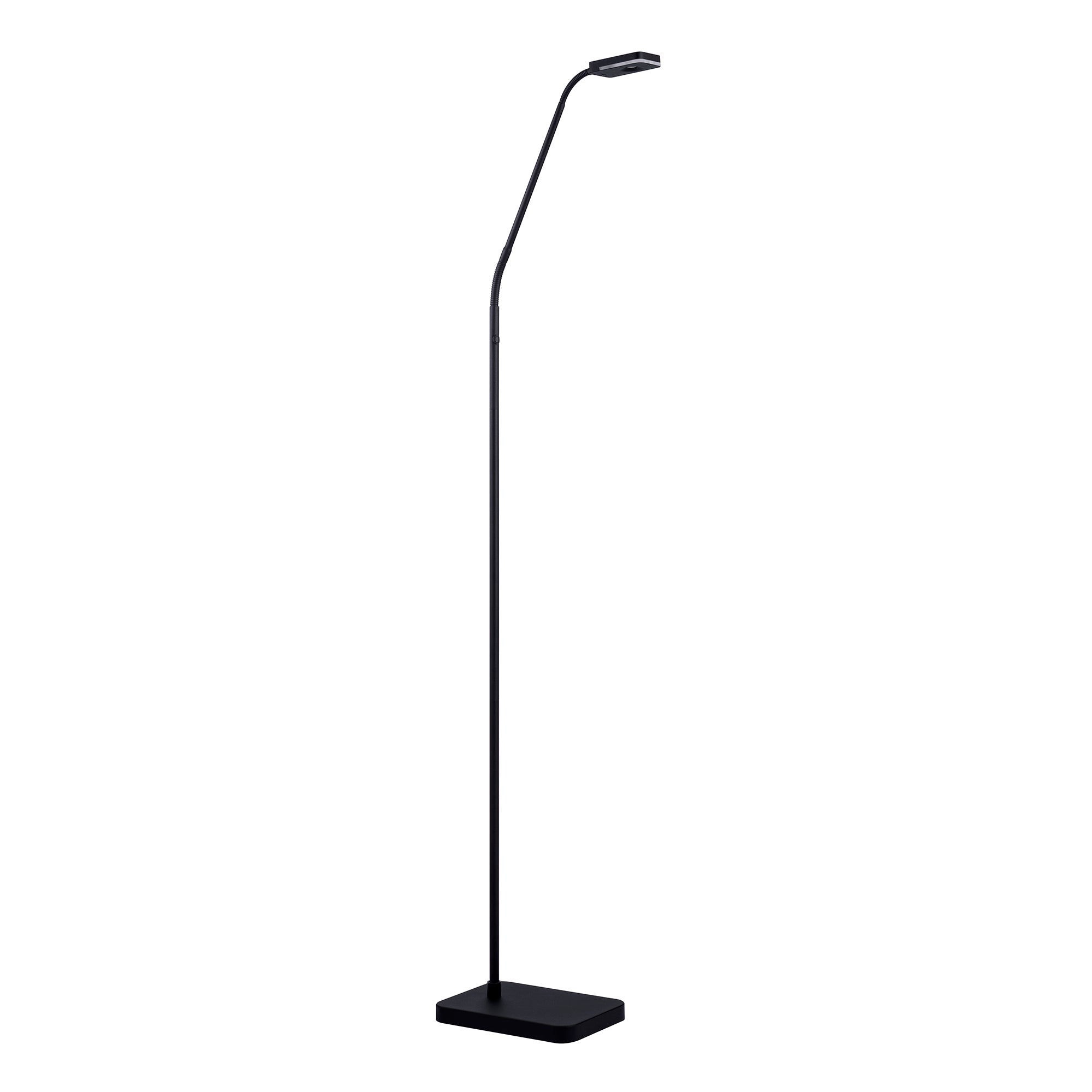 TAVV Black Floor Lamp - Black