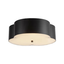 Load image into Gallery viewer, Flush Mounts-Alora Lighting-FM566314
