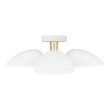 Load image into Gallery viewer, Flush Mounts-Visual Comfort &amp; Co. Studio Collection-EF1023
