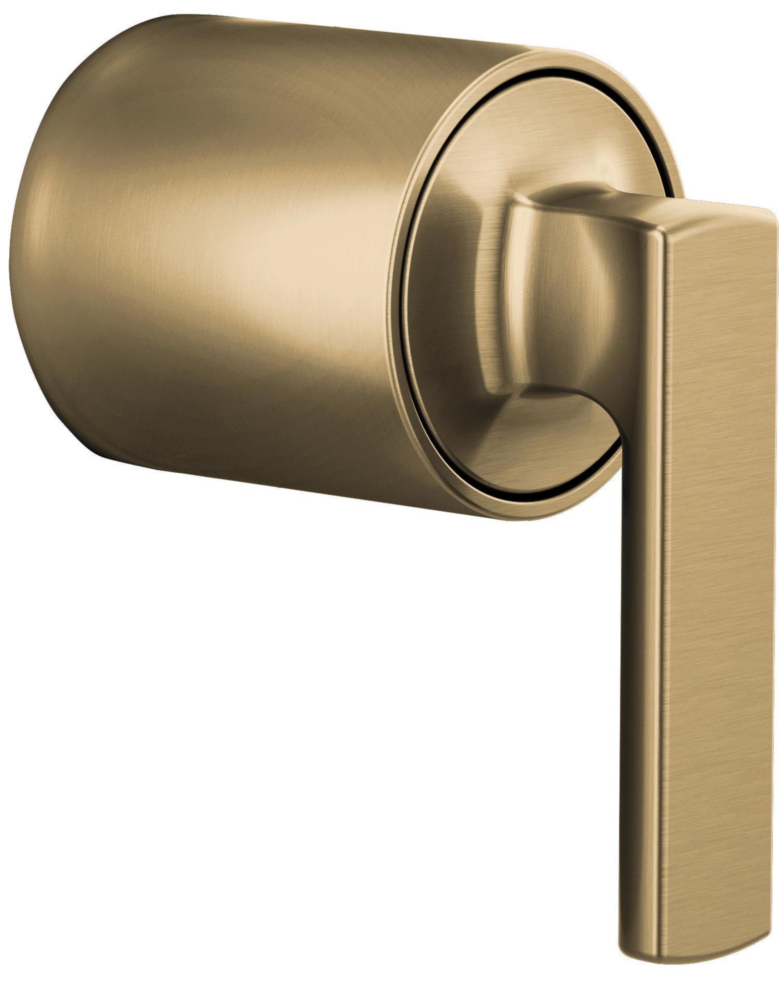 PRESSURE BAL VALVE HANDLE KIT - LEVER