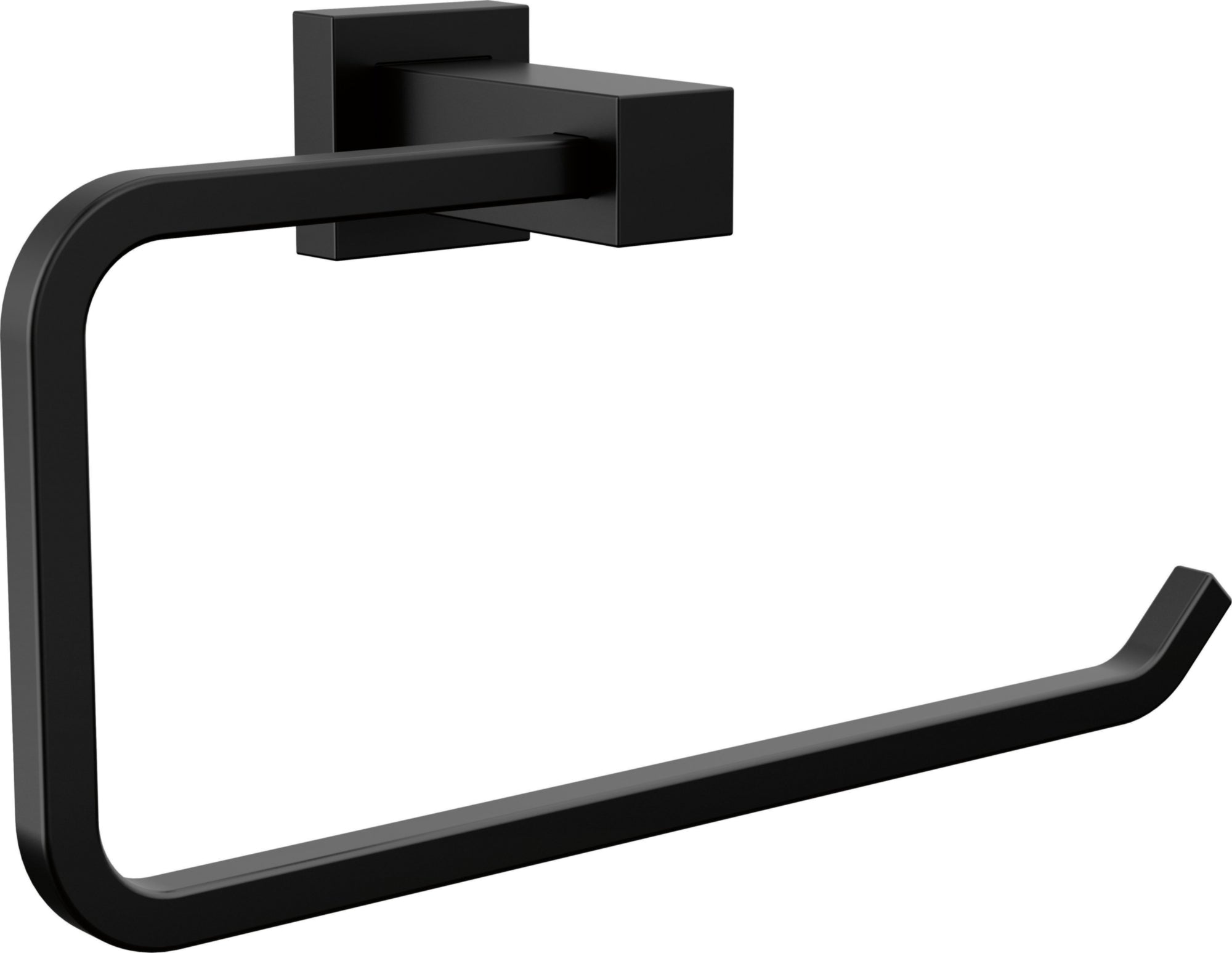 TOWEL RING