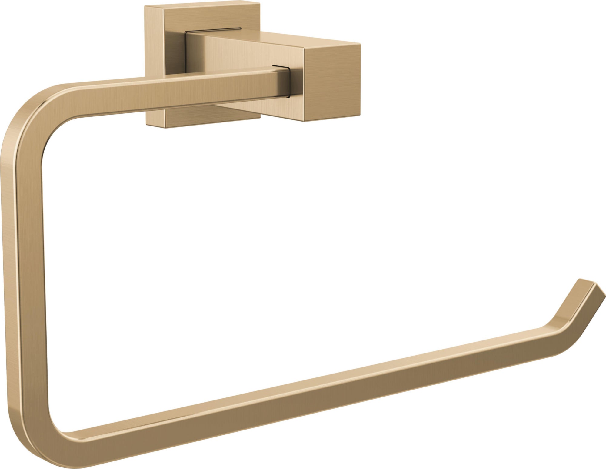 TOWEL RING