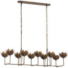 Load image into Gallery viewer, Alberto Large Linear Chandelier
