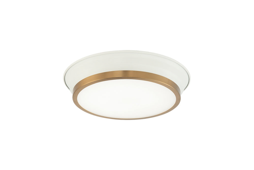 JAXX Ceiling Mount
