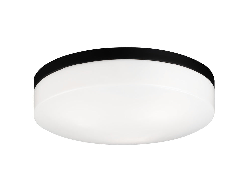 Xenon Ceiling Mount