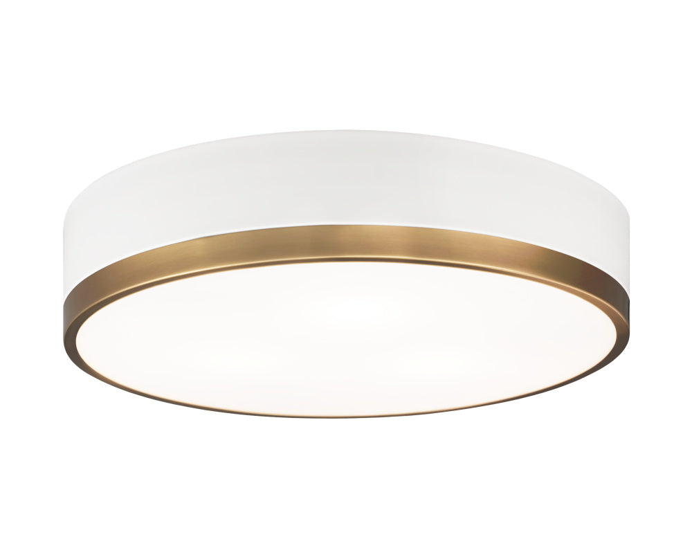 Trydor Ceiling Mount