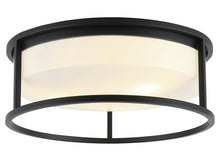 Load image into Gallery viewer, Flush Mounts-Matteo Lighting-M15003
