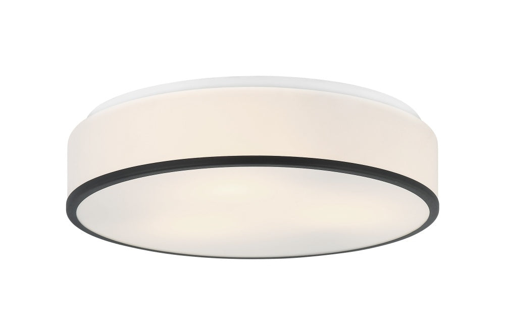 Echo Ceiling Mount