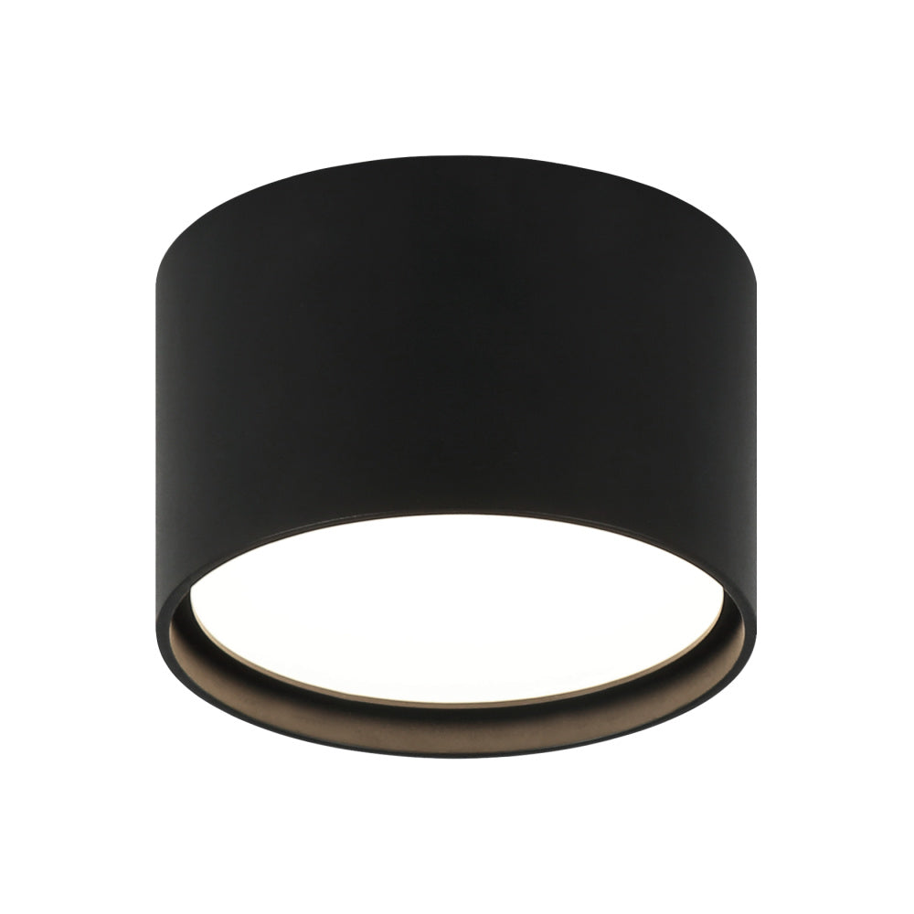 CARAVON Ceiling Mount