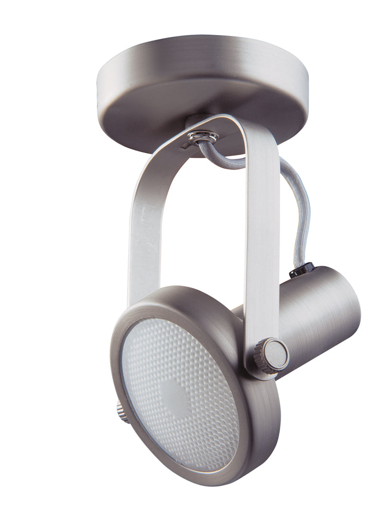 Par 30 Gimbal Monopoint in a Black finish - BST
