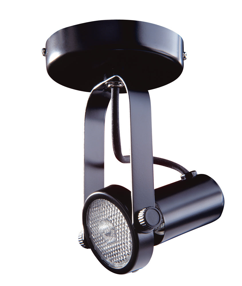 Par 20 Gimbal Monopoint in a Black finish - BLK