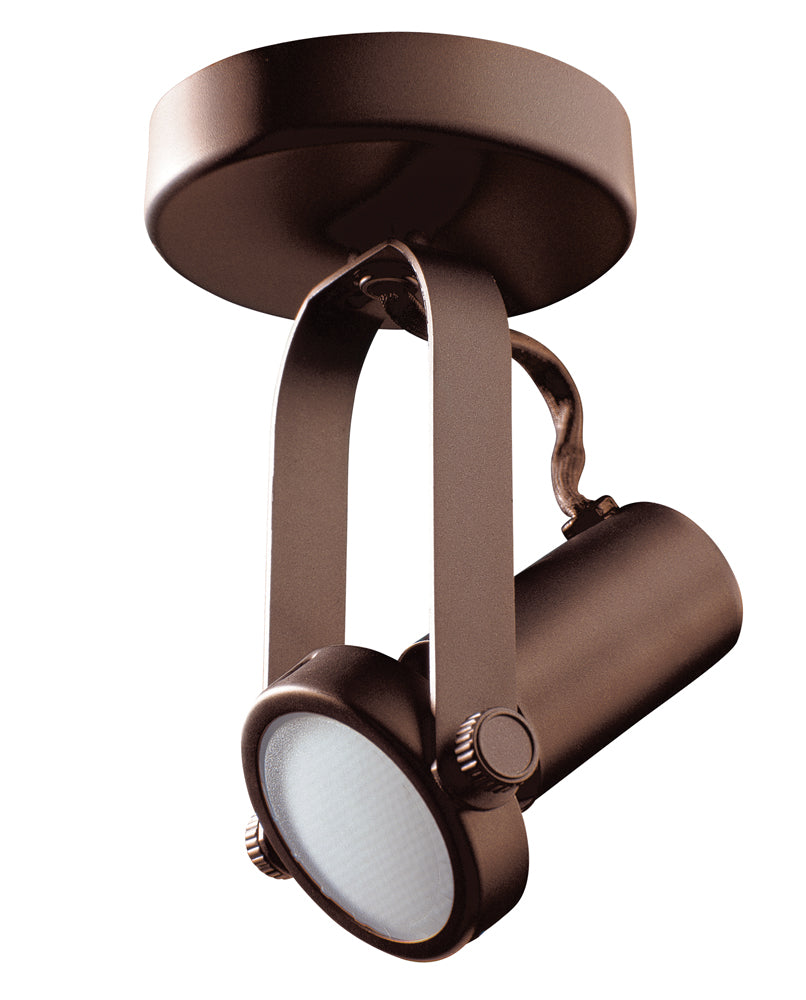 Par 20 Gimbal Monopoint in a Black finish - ORB