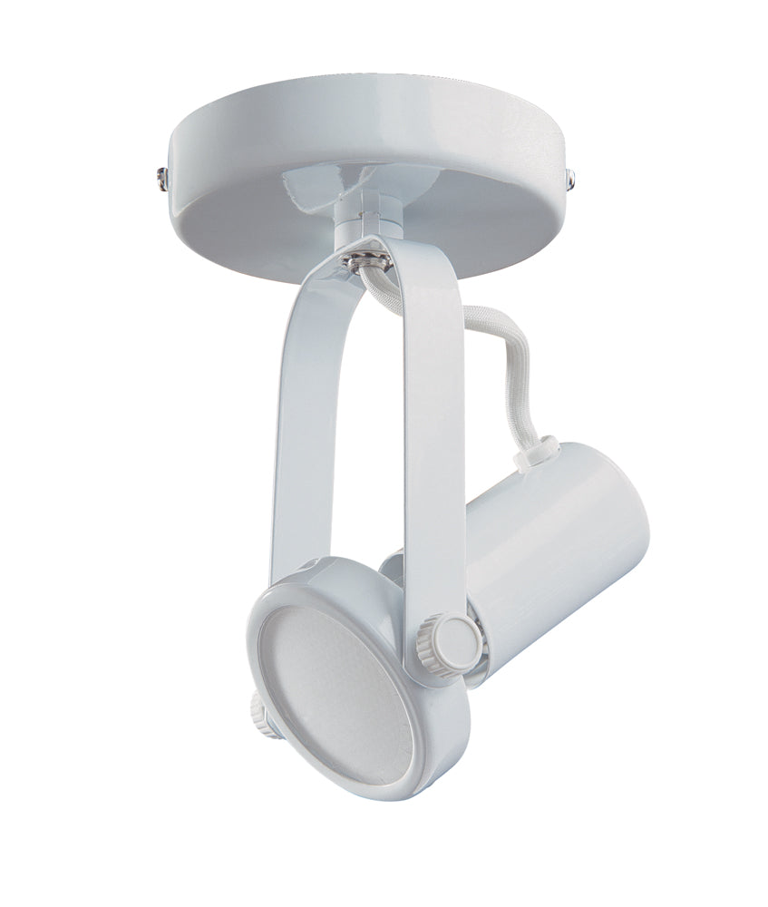 Par 20 Gimbal Monopoint in a Black finish - WH