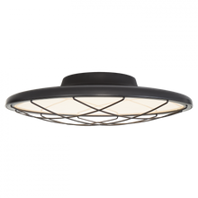 Load image into Gallery viewer, Dot 16&quot; Caged Flush Mount
