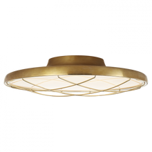 Load image into Gallery viewer, Dot 16&quot; Caged Flush Mount
