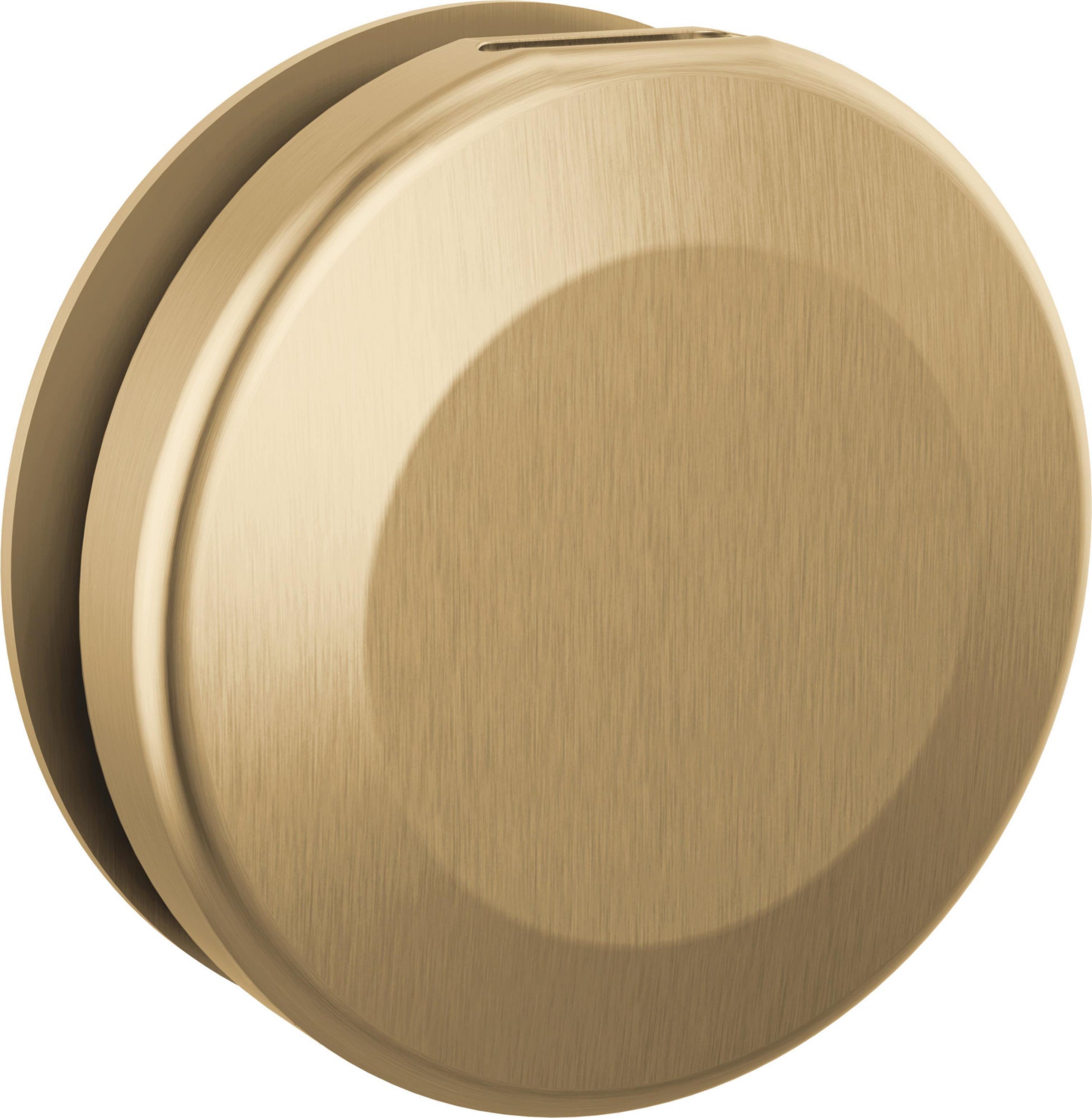 ROUND STEAM HEAD CHAMPAGNE BRONZE