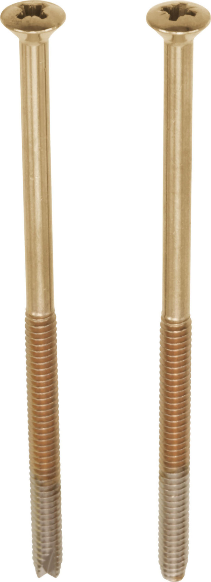 TRIM SCREWS,LONG                                            