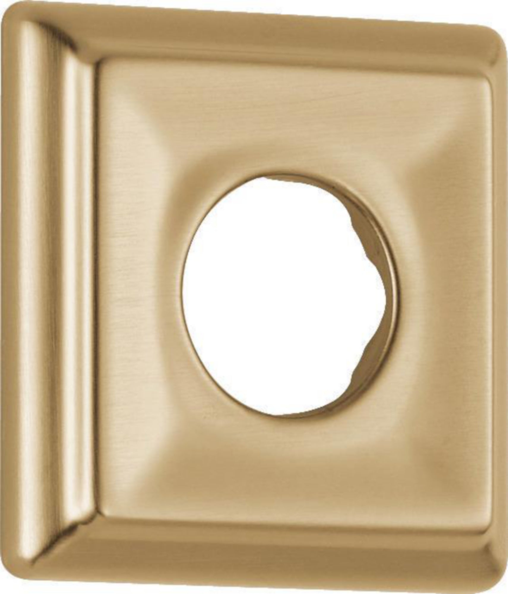 FLANGE - SHOWER